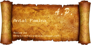 Antal Pamina névjegykártya